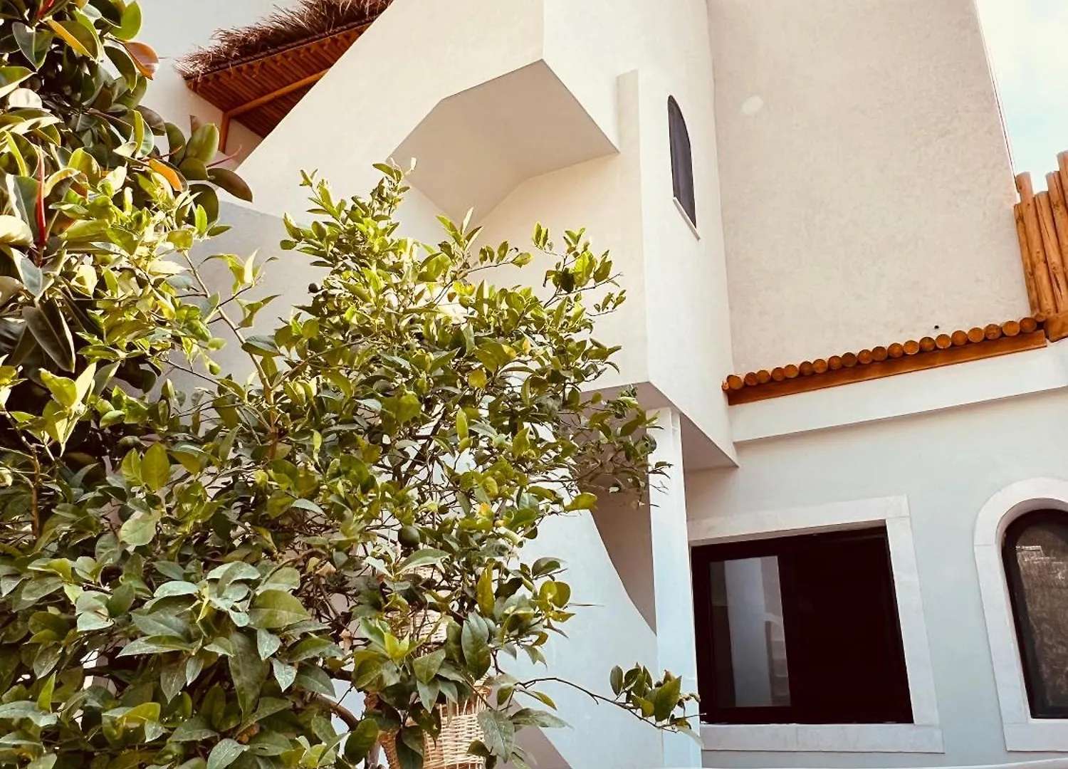 Casa de hóspedes Casa Boha Hotel Dhërmi Albânia